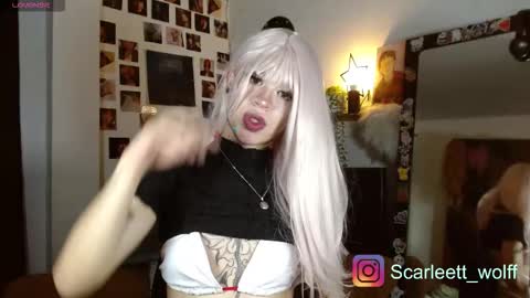 scarlet wolfindependient model online show from 11-28-25, 11:35