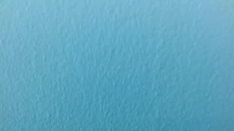 scarlet771776 online show from 11-29-25, 08:12