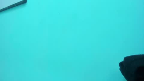 Snapshot of scarlett_fox20 chatting on 05-13-26, 01:30 scarlett_fox20 online show from 05-13-26, 01:30