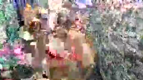 SCAS ANGEL S online show from 04-27-26, 02:42