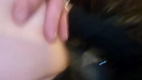 schollsremodeling online show from 11-02-25, 06:21