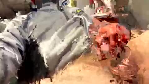 Snapshot of scottj603603 chatting on 02-18-26, 06:59 scottj603603 online show from 02-18-26, 06:59