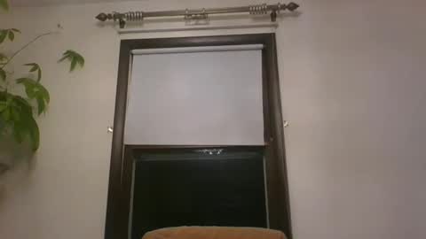 scottpbi52 online show from 12-31-24, 07:31