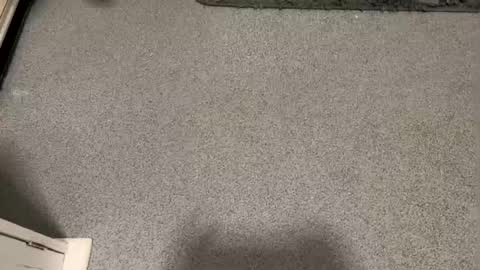 scottyc48 online show from 01-12-26, 03:17