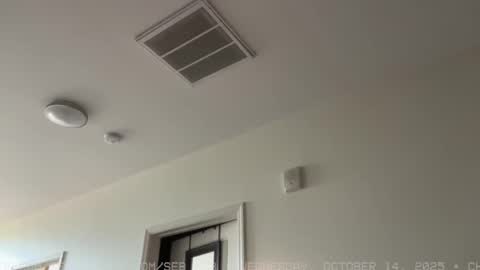 Sebastian online show from 10-15-25, 06:08