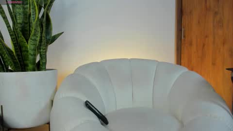 sebastian online show from 11-22-25, 11:20