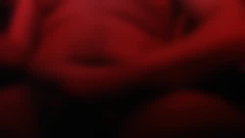 Snapshot of sebiche_ma_biche chatting on 03-09-25, 02:50 Apple online show from 03-09-25, 02:50