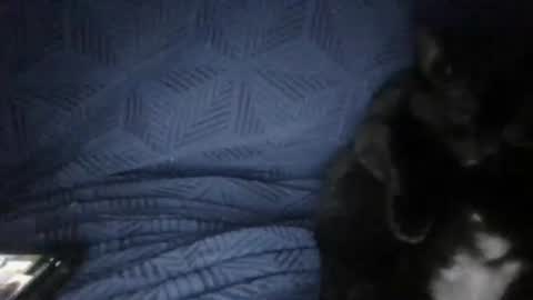 Sunny online show from 03-18-26, 05:27