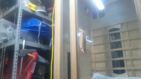 Snapshot of seeker404 chatting on 10-26-25, 11:09 Seeker online show from 10-26-25, 11:09