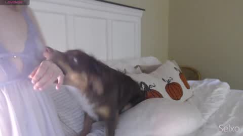 Sel online show from 10-20-25, 01:33