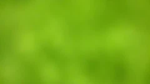 Snapshot of sens3439 chatting on 11-24-25, 08:36 sens3439 online show from 11-24-25, 08:36