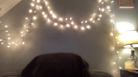 Seroc online show from 03-09-25, 11:46