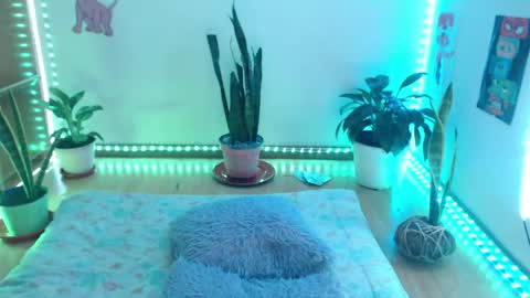 samy online show from 05-13-26, 01:47