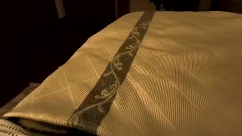 sevenorder online show from 01-21-25, 06:43