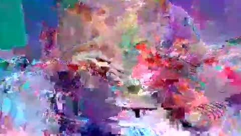 sexxycotton online show from 04-10-26, 07:24