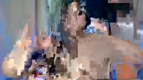 ALFREA online show from 02-17-25, 07:47