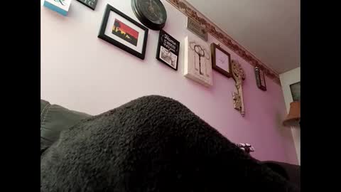 Snapshot of sexy_richy chatting on 03-11-25, 08:52 RICHY online show from 03-11-25, 08:52