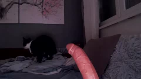 Snapshot of sexyella25 chatting on 07-13-26, 08:44 .... ............ Onlyfans online show from 07-13-26, 08:44