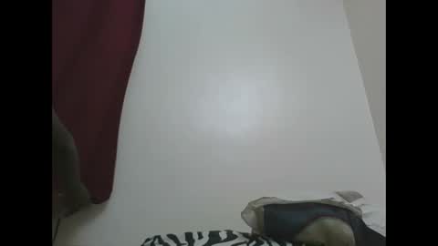 Snapshot of sexyhotgal23 chatting on 01-06-25, 04:23 REBECCAH online show from 01-06-25, 04:23