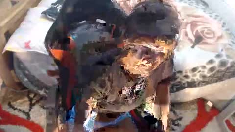 sexyjustin202 online show from 11-12-25, 02:45