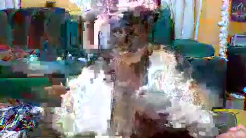sexylo52 online show from 05-13-26, 11:07