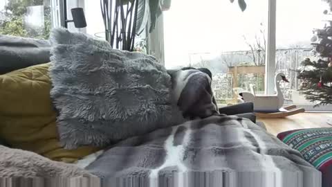 sexylover81ch online show from 12-21-25, 11:28