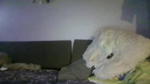shafte1981 online show from 06-02-26, 10:01