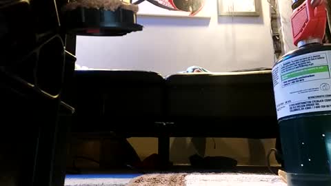 shagz2much online show from 01-09-25, 07:21