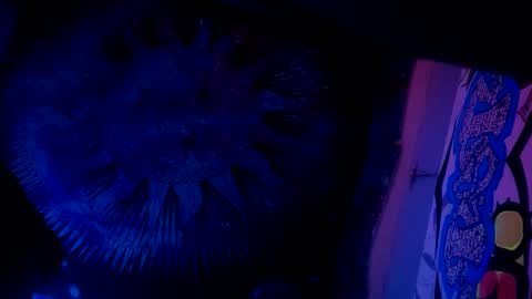 shagz2much online show from 01-27-25, 11:54