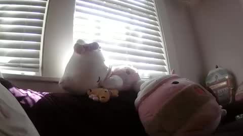 shampooprincess001 online show from 03-21-26, 08:12