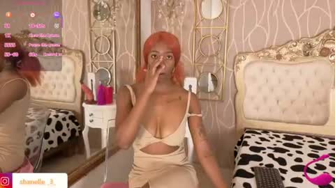 S H A N E L L E   online show from 06-13-26, 02:04