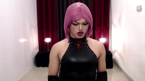 Shane X online show from 12-08-24, 06:28