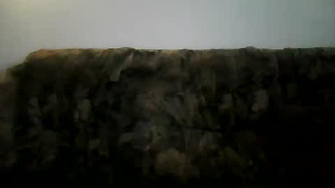 excelo21 online show from 02-02-25, 02:13