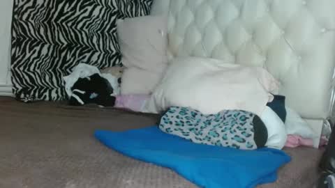 sharlot03 online show from 03-11-25, 12:28