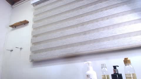 Sharlott online show from 01-25-25, 11:55