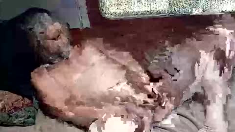 Snapshot of sharoc666 chatting on 03-04-26, 02:45 Shamroc online show from 03-04-26, 02:45