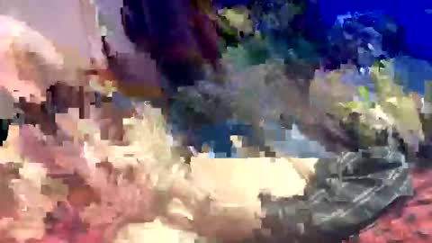 Snapshot of sharoc666 chatting on 03-22-26, 12:58 Shamroc online show from 03-22-26, 12:58
