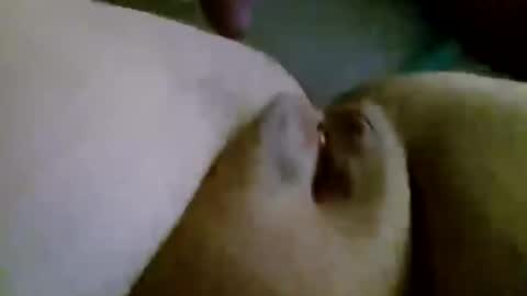 shay6371 online show from 11-28-25, 07:55