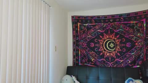 Snapshot of shayminx chatting on 11-06-25, 09:05 Shayminx online show from 11-06-25, 09:05