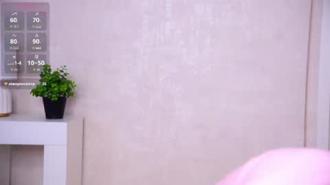 sheenagear online show from 06-26-26, 02:16