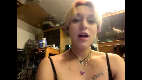 Snapshot of shelbybaby01 chatting on 12-29-24, 01:49 Shelby holes online show from 12-29-24, 01:49