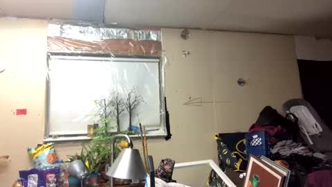 Snapshot of shelbybaby01 chatting on 03-10-25, 11:42 Shelby holes online show from 03-10-25, 11:42