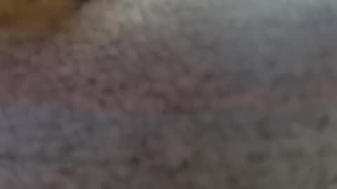 Erika online show from 02-25-25, 09:24