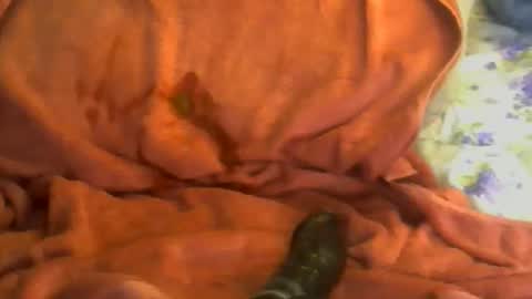 sherbearxrayghost online show from 04-07-26, 03:23