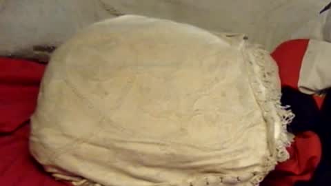 sherbearxrayghost online show from 06-15-26, 01:57