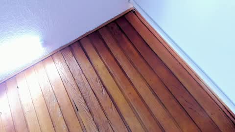 mia online show from 01-08-25, 02:14