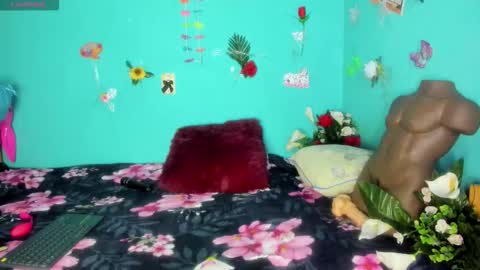 Shera Hade online show from 03-08-26, 02:04