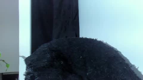 Snapshot of shooter_boy_ chatting on 07-20-26, 03:54 Shooter online show from 07-20-26, 03:54