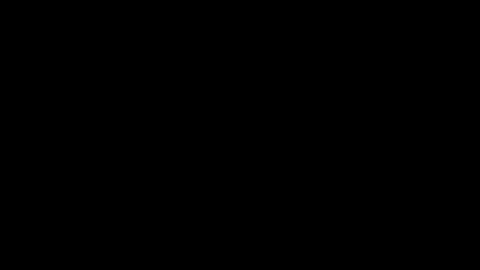 Thebull5  online show from 02-22-26, 11:09