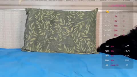 Oleg online show from 03-01-25, 07:04